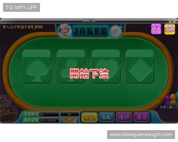 三公游戏官网攻略大全，详细介绍玩法技巧助你轻松赢取高额奖励