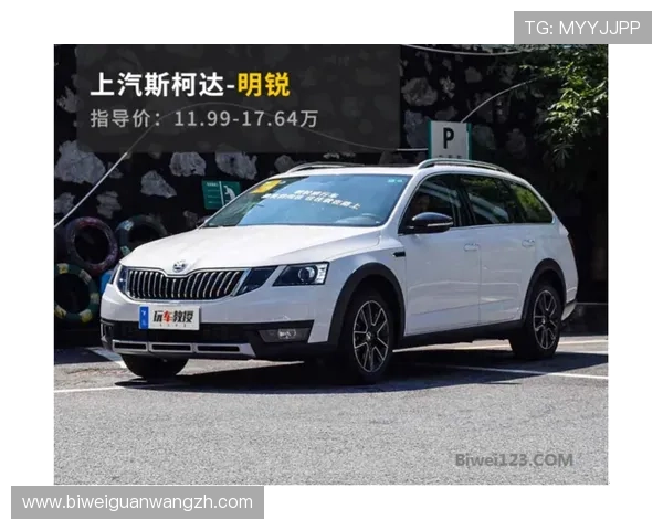 betwei必威体育赛事直播与投注技巧提升你的赢率