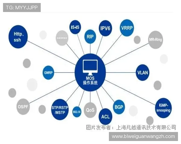 betway中国官网安全保障措施全揭秘，确保玩家个人信息与资金安全的实用建议