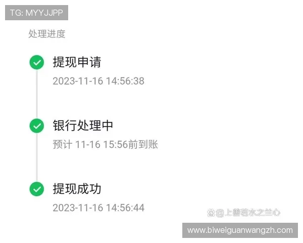 德赢平台提现不到账的原因分析与解决方案，确保您的资金安全顺利到账