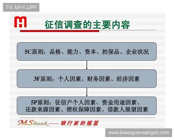 体育担保网如何帮助运动员和体育机构提升信用保障水平